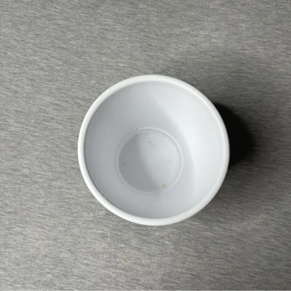 Target White 5” Round Ceramic Planter Pot